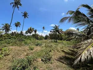 50 Room's Hotel with 11 Acres Beach Front Land Tangalle