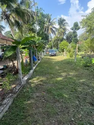 Land for Sale in Wadduwa Pothupitiya