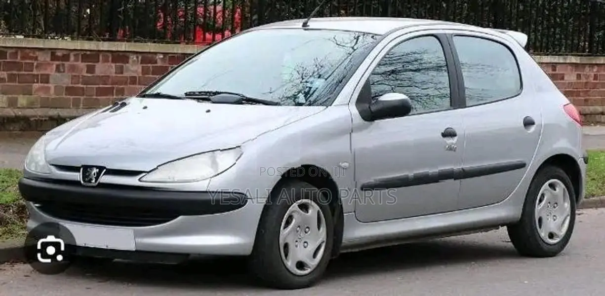 Peugeot 206 Side mirror