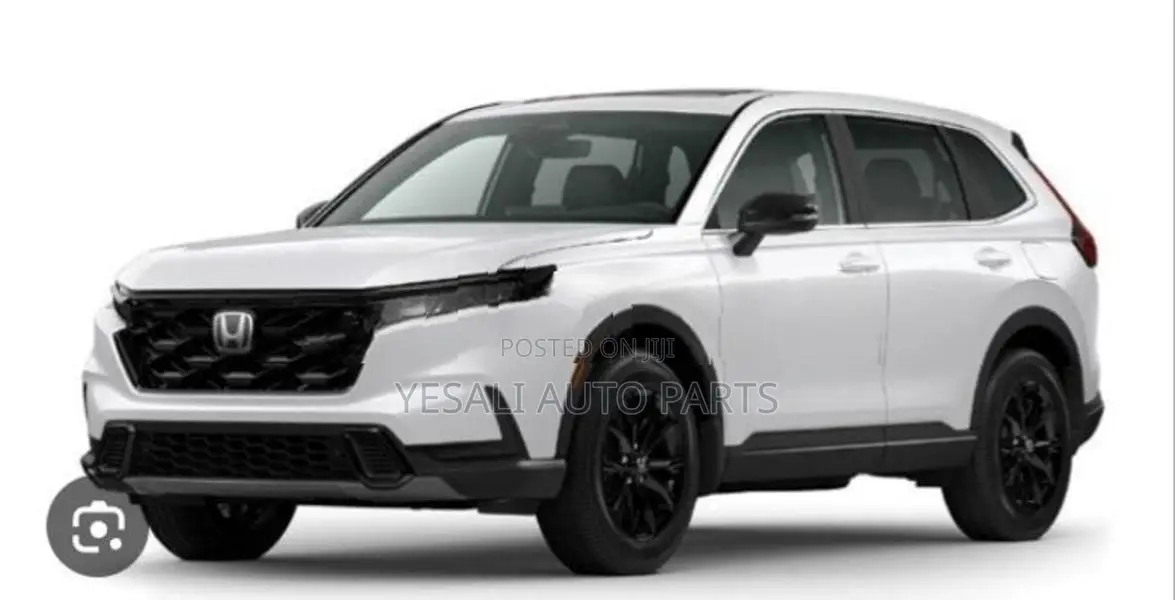 (2024) Honda Crv front buffer