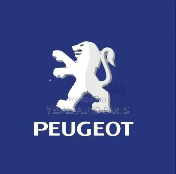 Peugeot 206 Side mirror