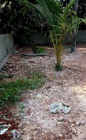50m Lagoon 15 Perch Bare Land for Sale in Kapungoda Pamunugama