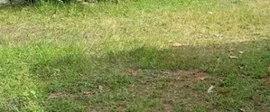 KANDY : 25 Acres Land for Sale in Galagedara