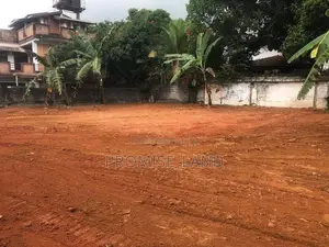 වාද්දුව නගරයට ලගින් බිම් කොටස් විකිනීමට M20