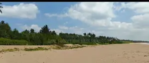 TANGALLE : 688 Perches BEACHFRONT PROPERTY FOR SALE