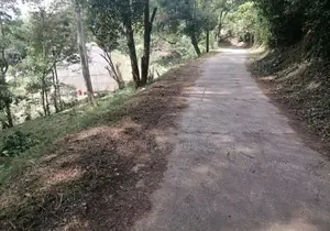 KANDY : 153 PERCHES PRIME LAND FOR SALE in Heerassagala