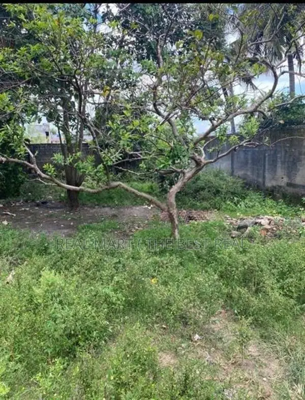 COLOMBO : 25.5 perches Land FOR SALE in Rajagiriya