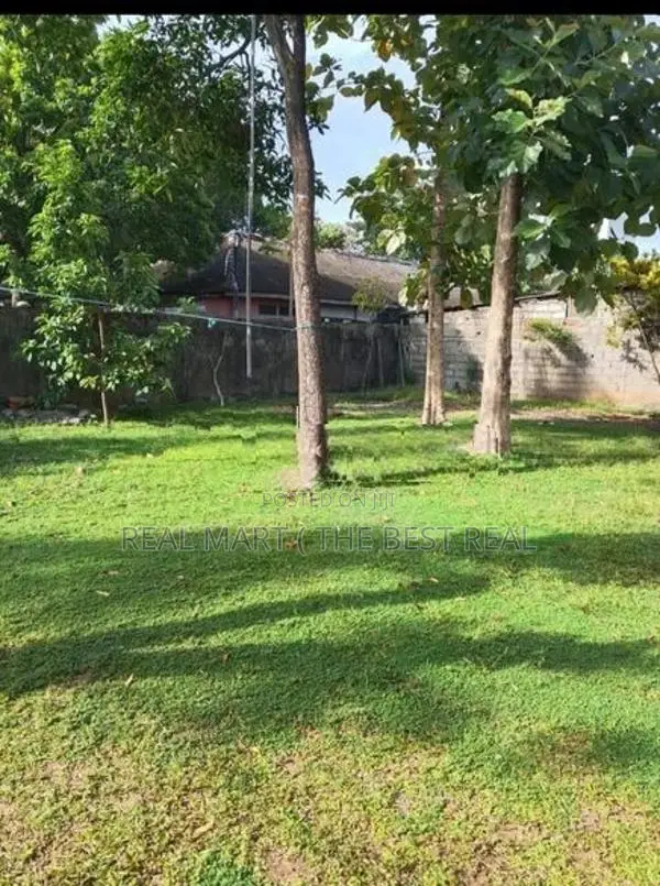 Colombo 05 10.6 Perches Bare Land for Sale in Kirulapone