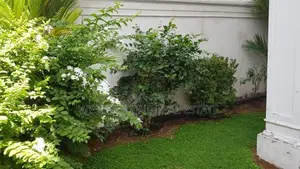 Furnished 5 Bedroom House For Rent in Colombo