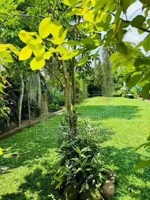 Single Storey House for Sale in Battaramulla Ds44532