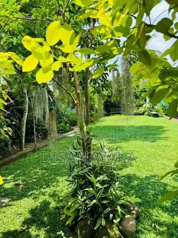Single Storey House for Sale in Battaramulla Ds44532