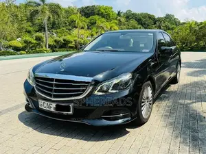 Mercedes Benz E300 Eliganze Model 2014