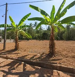 Land for Sale in Kandana