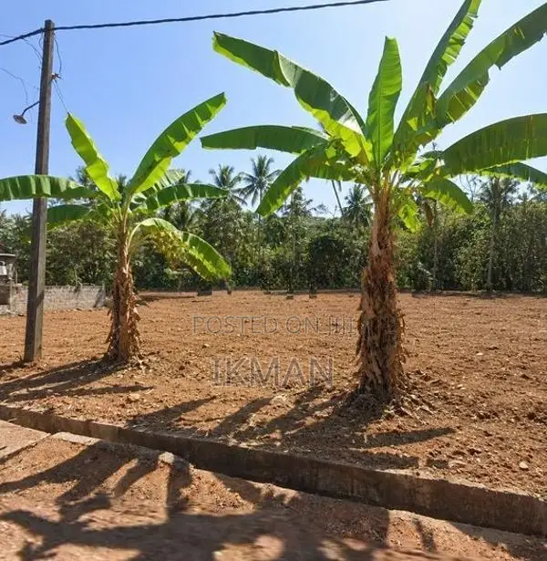 Land for Sale in Kandana