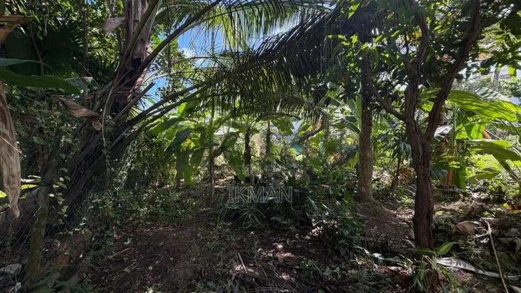 Land for Sale in Kandana