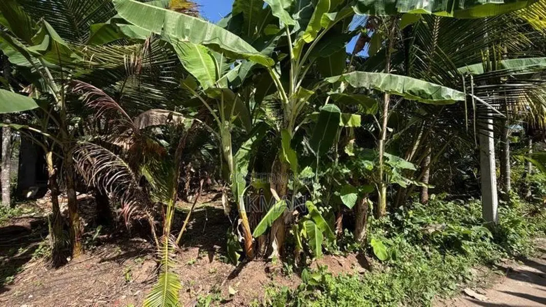Land for Sale in Kandana