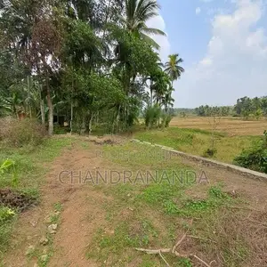 Land for Sale in Thalagala