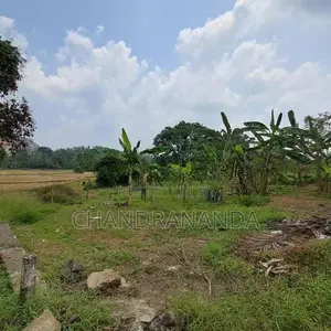 Land for Sale in Thalagala