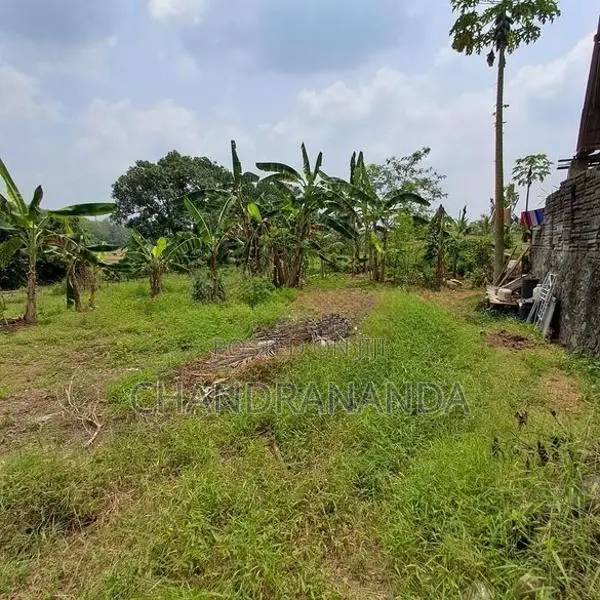Land for Sale in Thalagala