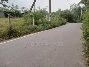 ඉඩමක් විකිණීමට Millewa