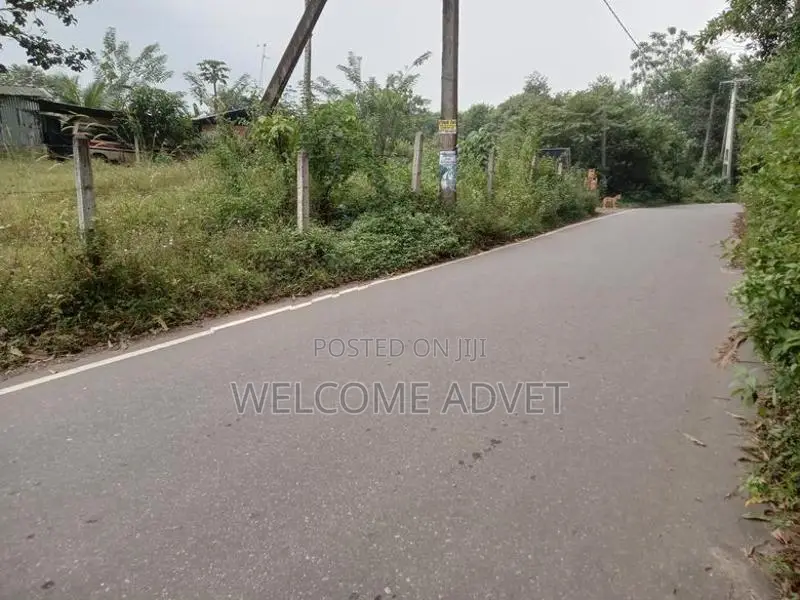 ඉඩමක් විකිණීමට Millewa