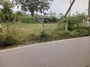 ඉඩමක් විකිණීමට Millewa