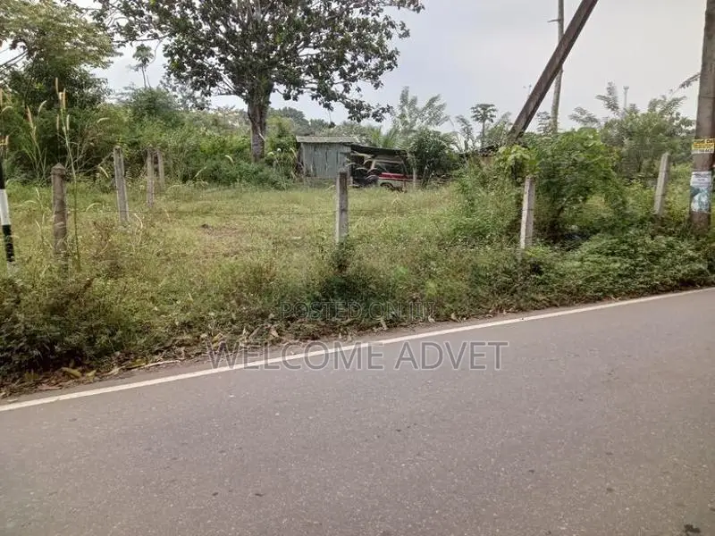 ඉඩමක් විකිණීමට Millewa