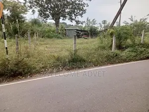 ඉඩමක් විකිණීමට Millewa