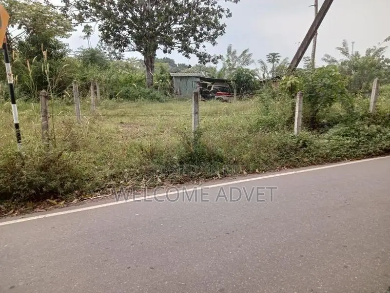 ඉඩමක් විකිණීමට Millewa