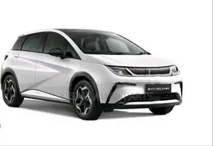 BYD Dolphin Fender
