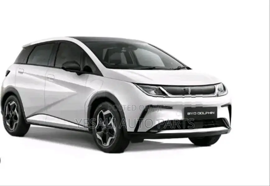BYD Dolphin Fender