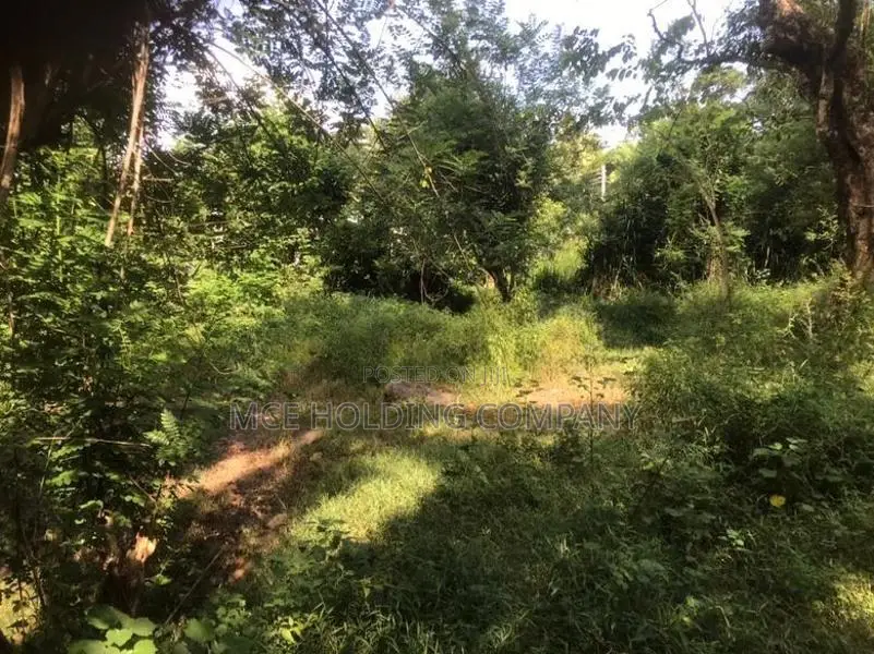 Land for Sale – Maligathanna, Kandy