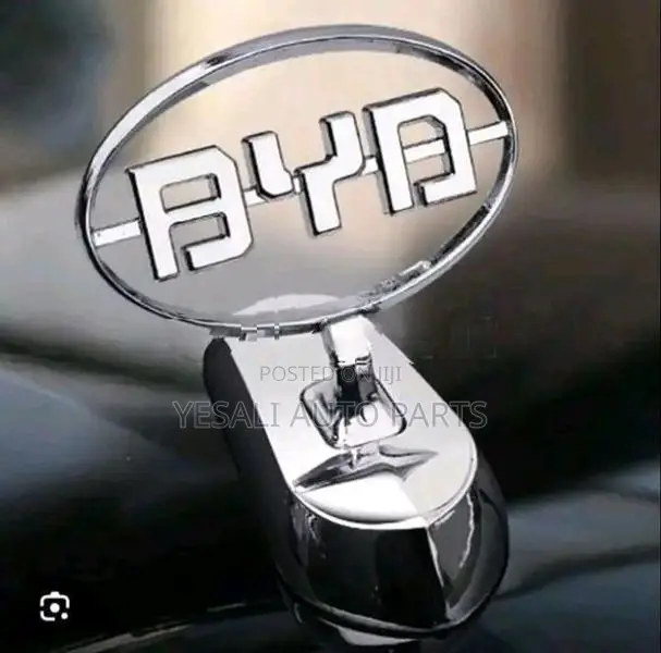 BYD Dolphin Fender