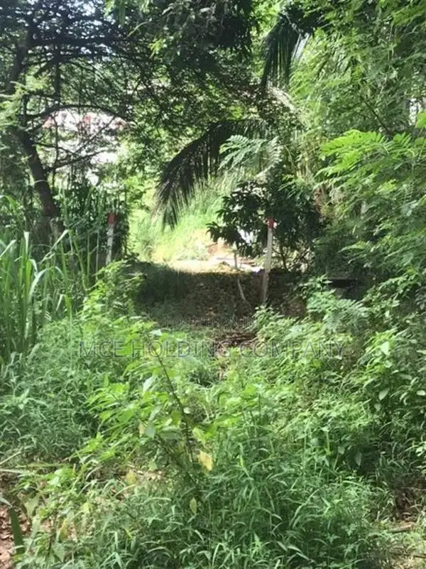 Land for Sale – Maligathanna, Kandy