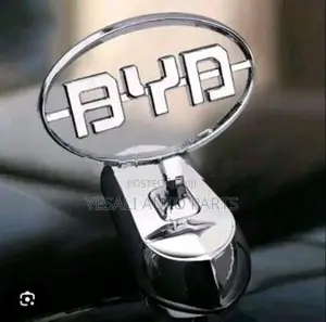 BYD Sealion 6 Side Door's
