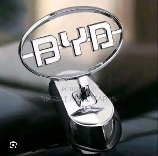 BYD Sealion 6 Side Door's
