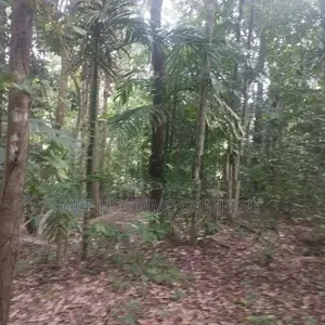 183 Perch Land with House for Sale – Alawattegama Road, Galagedara