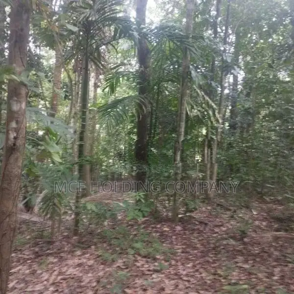 183 Perch Land with House for Sale – Alawattegama Road, Galagedara