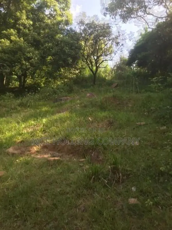 Land for Sale – Maligathanna, Kandy