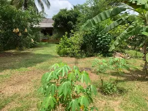 කුරුණෑගල පුත්තලම් පාරට ආසන්නව වටිනා බිම් කොටසක් විකිණීමට.
