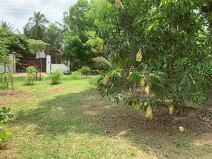 කුරුණෑගල පුත්තලම් පාරට ආසන්නව වටිනා බිම් කොටසක් විකිණීමට.