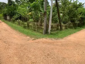 කුරුණෑගල පුත්තලම් පාරට ආසන්නව වටිනා බිම් කොටසක් විකිණීමට.