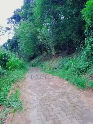 වටිනා බිම්කො ටසක් මහනුවර