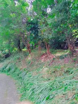 වටිනා බිම්කො ටසක් මහනුවර