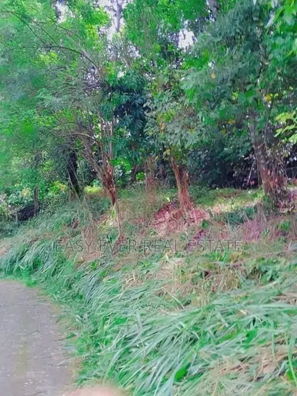 වටිනා බිම්කො ටසක් මහනුවර
