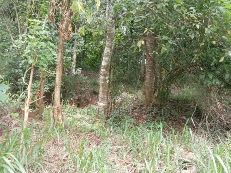 වටිනා බිම්කො ටසක් මහනුවර