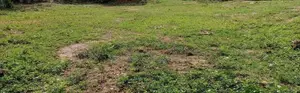KANDY CITY : 12P PREMIUM FLAT LAND FOR SALE