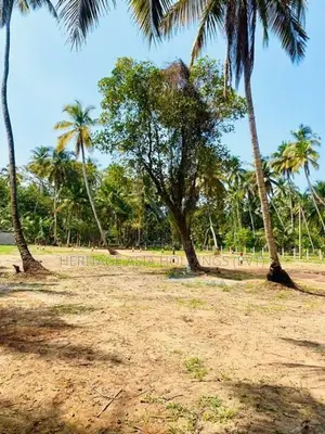 පම්බලින් සින්නක්කර බිම් කොටස්