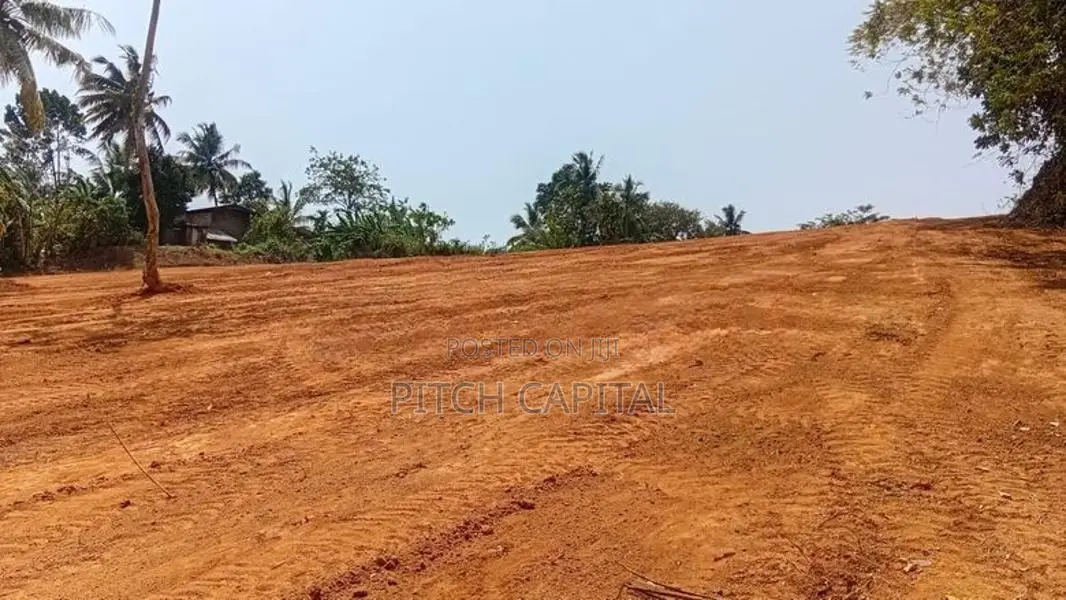 219 හෝමාගම හංවැල්ල බස් පාරට මුහුණලා ඉඩම්