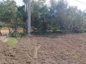 Land for Sale Kilinochchi